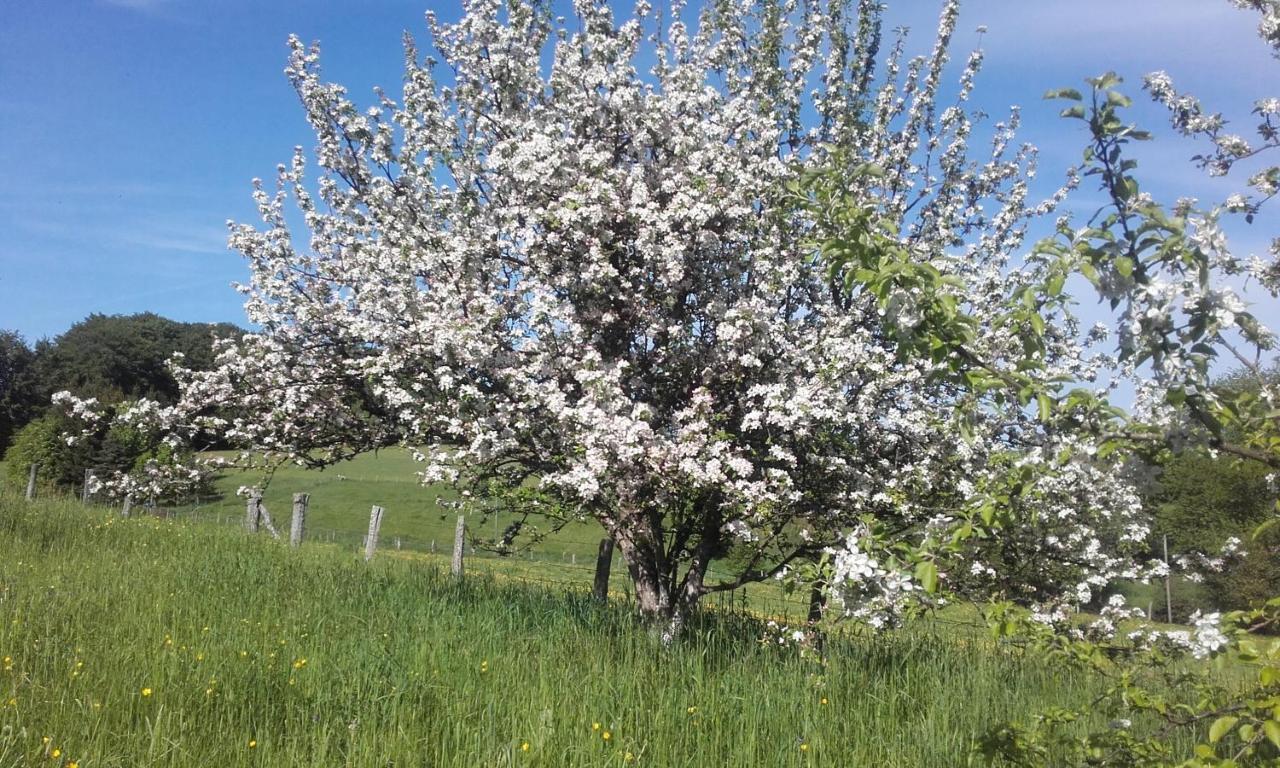 Gite Les Hirondelles Пломбьер-ле-Бен Экстерьер фото